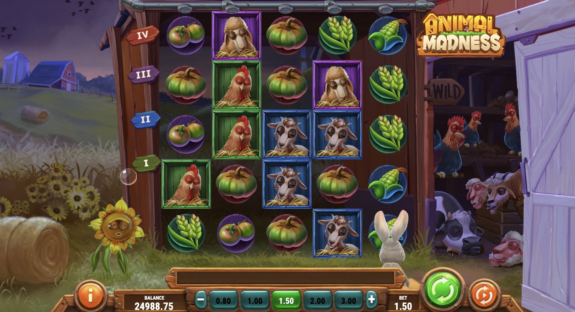   Animal Madness          
